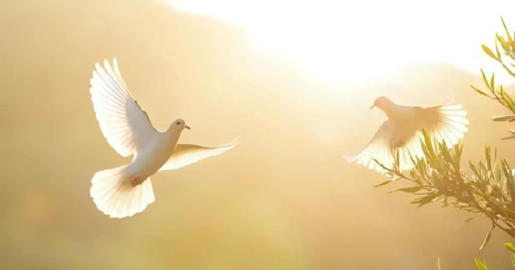 Best Peace Puns for Instagram Captions