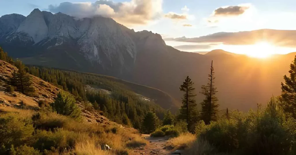 Wilderness & Nature Adventure Puns