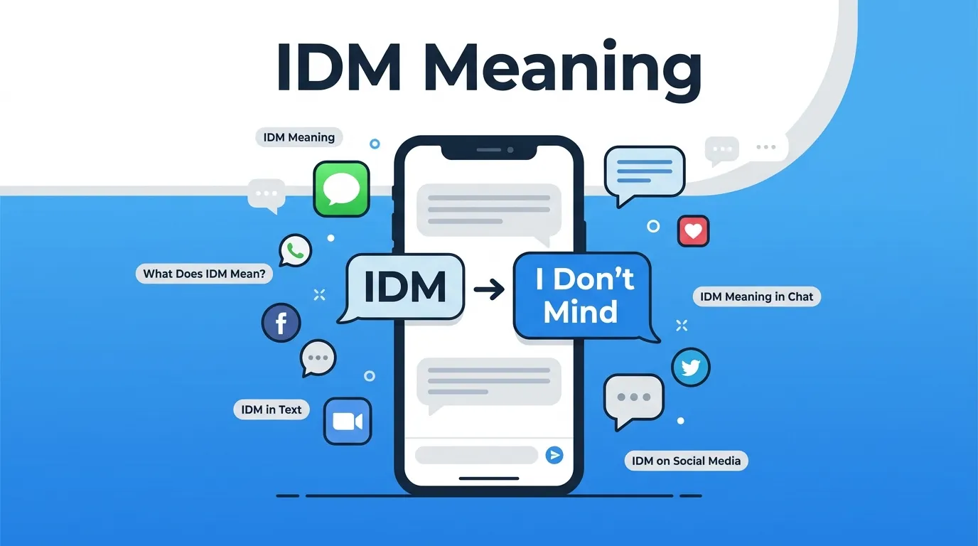 IDM Meaning